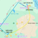 신성부분정비 | 뉴질랜드 트레킹 - 통가리로 알파인 크로싱 후기