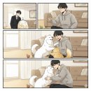 개와 고양이 이미지