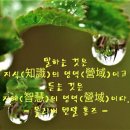 우보만리 이미지