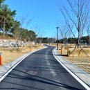 대왕암공원 캠핑장 이미지