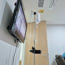 세화병원 | 88년생 난임일기(5) 세화병원 3일배양 신선이식 후기!