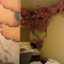 [중국상하이여행🇨🇳]상하이 마사지 솔직 비교 후기｜정스파(Jing Spa) vs 강준스파(Congen Spa) 내돈내산