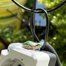 우보스테이 이미지