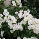 (주)의미있다 이미지