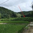 분당-398 이미지