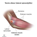 풀잎한의원 이미지