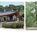 당신만을 위한 길 이미지
