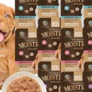 퍼피플랜 이미지