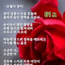 뜨거운장미식당