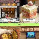 멍멍이와 숲속에서 | 카페 네모네 두바이쫀득쿠키 딸기케이크 내돈내산 솔직 후기 주말웨이팅 메뉴 추천 뚝섬카페 서울숲카페...