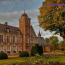 더플러스성형외과의원 이미지