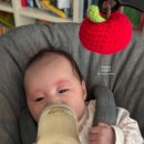 종달구경 이미지