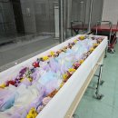 울산하늘공원 이미지