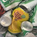 해피그린(HAPPY GREEN)