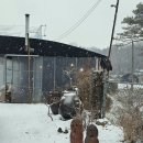 삼팔이 농장 이미지