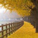 무명여관 | 아산의 봄, 과거를 걷다 (봄꽃길, 역사기행, 도보코스)