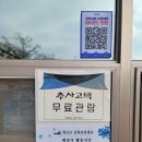 화순가옥 | 추사 김정희 고택] 예산 수선화 홍매화 목련 꽃구경, 유기방가옥 수선화 축제 대신 선택한 솔직 후기