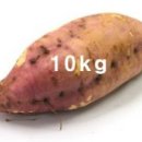 낙성초등학교 이미지