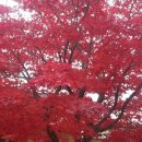 부경(부산&함안)<b>합동</b>정모 알림