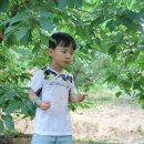 가막골농장 이미지