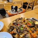 여주-1114 | 여주 애견동반식당 ) 푸짐하고 맛있는 한상 /간장게장맛집 :: 여주 설원다식