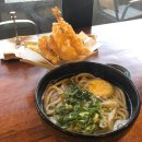 비지곳식당 | 제주 동쪽 여행의 기록 - 카페 맛집 솔직 후기