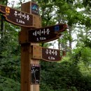 [여행정보] 진한 숲 내음 가득 ‘축령산 편백나무 숲’ 이미지