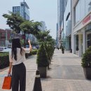 카메라 센서 클리닝 비용 시간, 직접 청소 말고 센터 맡긴 후기