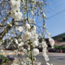 수양민박 이미지