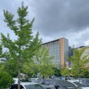 로세라블룸플라워 | 양산 부산대학교병원 진료후기(양산부산대학교 병원 파업)