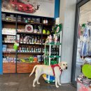 노블워시타운 이미지