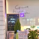 탑네일&브로우