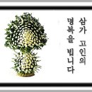 허*덕 - 안양시 동안구 경수대로519번길 | 허*덕