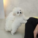 데이,그룸 이미지