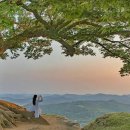 성흥로97번길 이미지