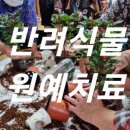 양동경로당 이미지