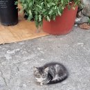 옥계가는 민박 이미지