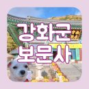 강화 석모도 보문사 애견동반 후기 입장료 및 입장조건 정보