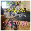 산내들 흑염소 이미지