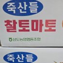 광산구-038 Daum카페