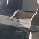 법률사무소비컴 네이버블로그
