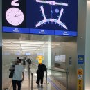 한미세차장 | [8월 14-20일] 미국으로 돌아온 한 주