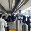골드카 | LA &#39;lax공항 허츠렌터카&#39; 머스탱 픽업 후기 (허츠 골드멤버)