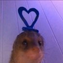 아임파인앤유 이미지