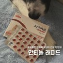 수의사 추천의 효과빠른 슬개골 펫영양제 강아지 고양이 안티놀 래피드 급여후기