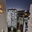무지개마을 4단지 주공아파트 분당 리모델링 임장 후기