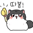 노엘치과의원 이미지