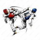 보성태권도 이미지