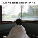 모스트제주 이미지