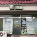 문스킨&바디 이미지